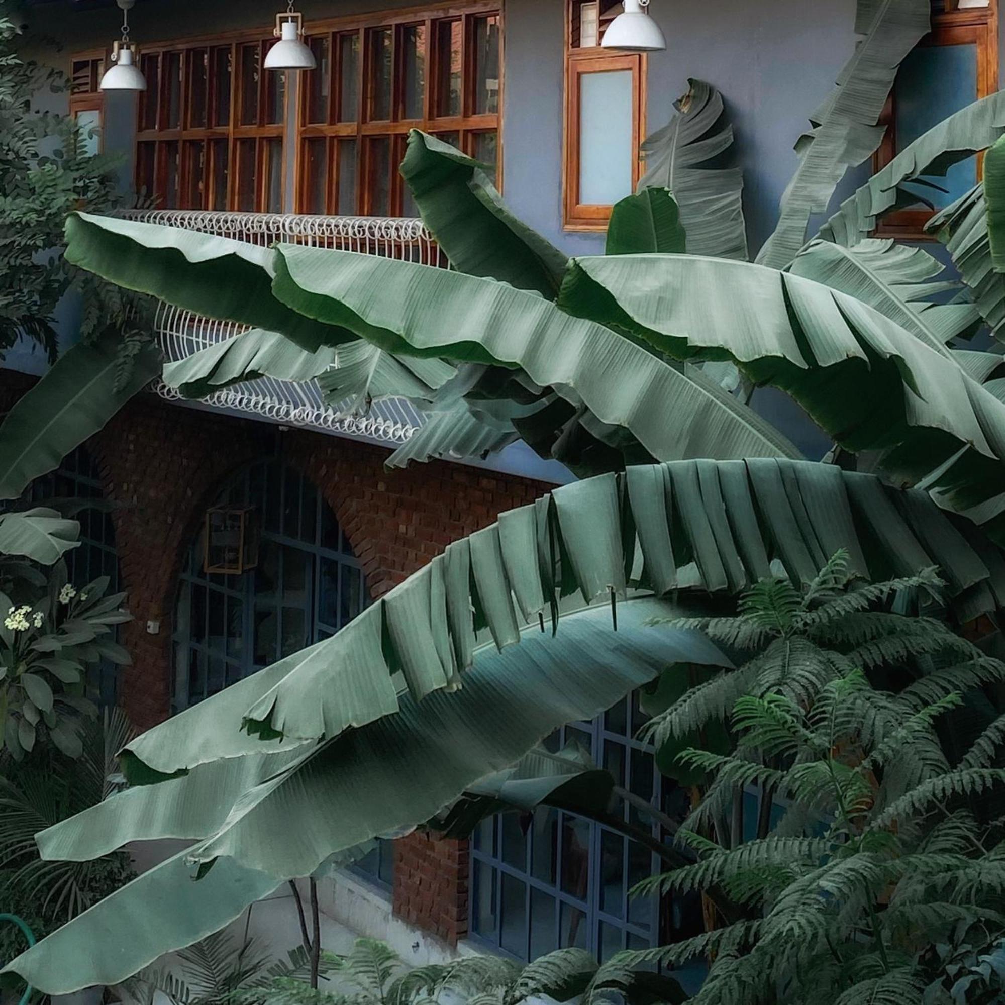 The Artist House Udaipur Exterior foto